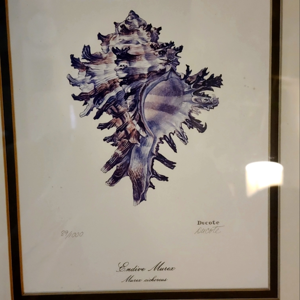Ducote sketch limited piece 89 of 1000 signed and framed can be yours